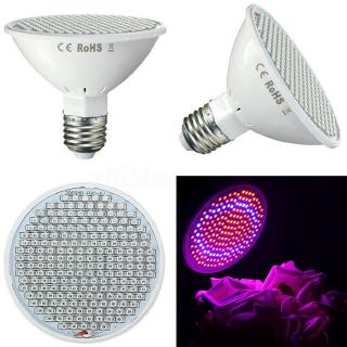 Đèn Led Trồng Cây E27 220v 200 Bóng