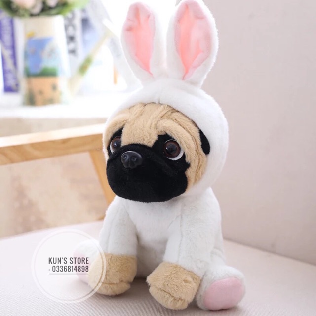 Gấu bông chó Pug siêu xinhhh (ỏrder và có sẵn)