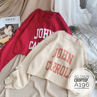 Bigsize Áo thun croptop A196