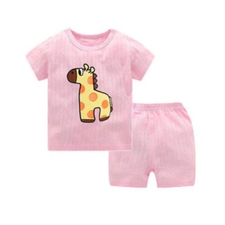 Combo bộ cotton giấy