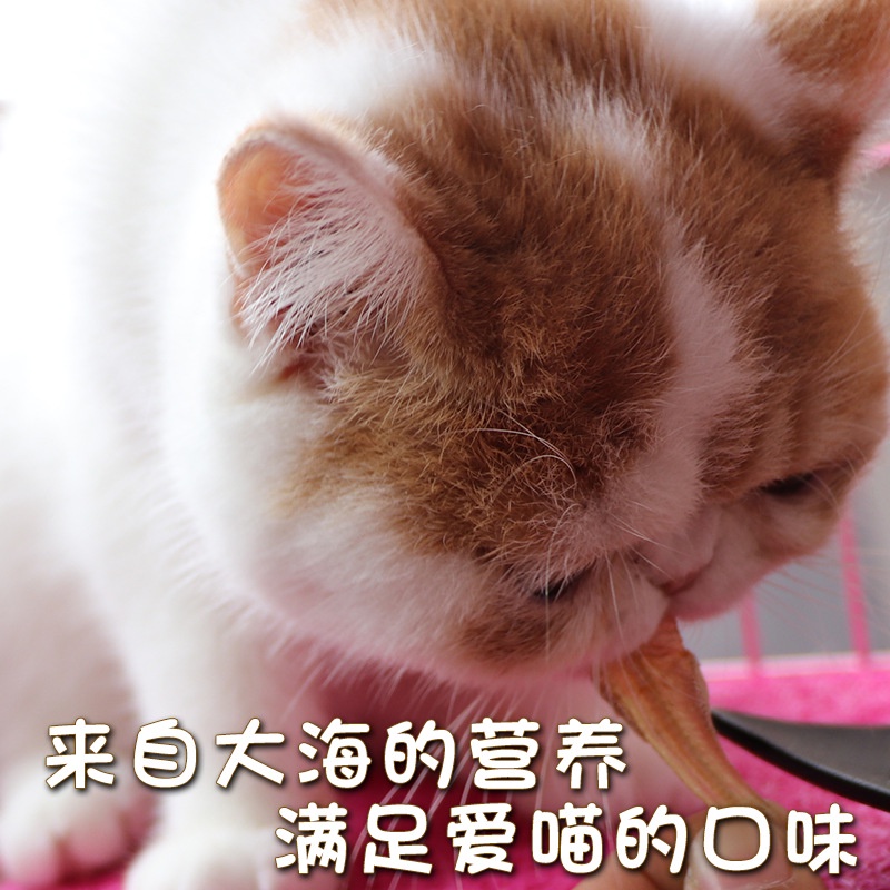 Cá trắng sấy khô cho Chó, Mèo, Pet thơm ngon không gia vị