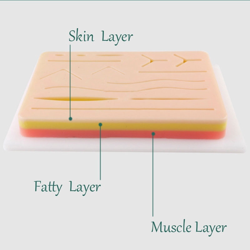 KHUÔN DA GIẢ CHUYÊN DỤNG THỰC TẬP KHÂU CHỈ CHO SINH VIÊN Y KHOA