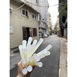 10 Cây Keo nến to