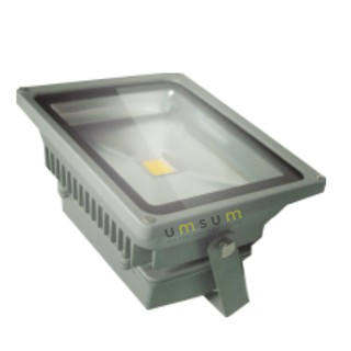 Đèn pha LED loại lớn 50W