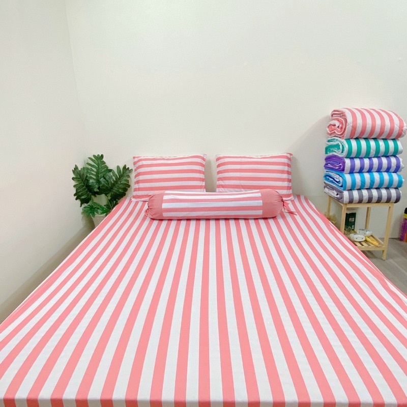 Bộ ga và vỏ gối thun Hàn mẫu sọc