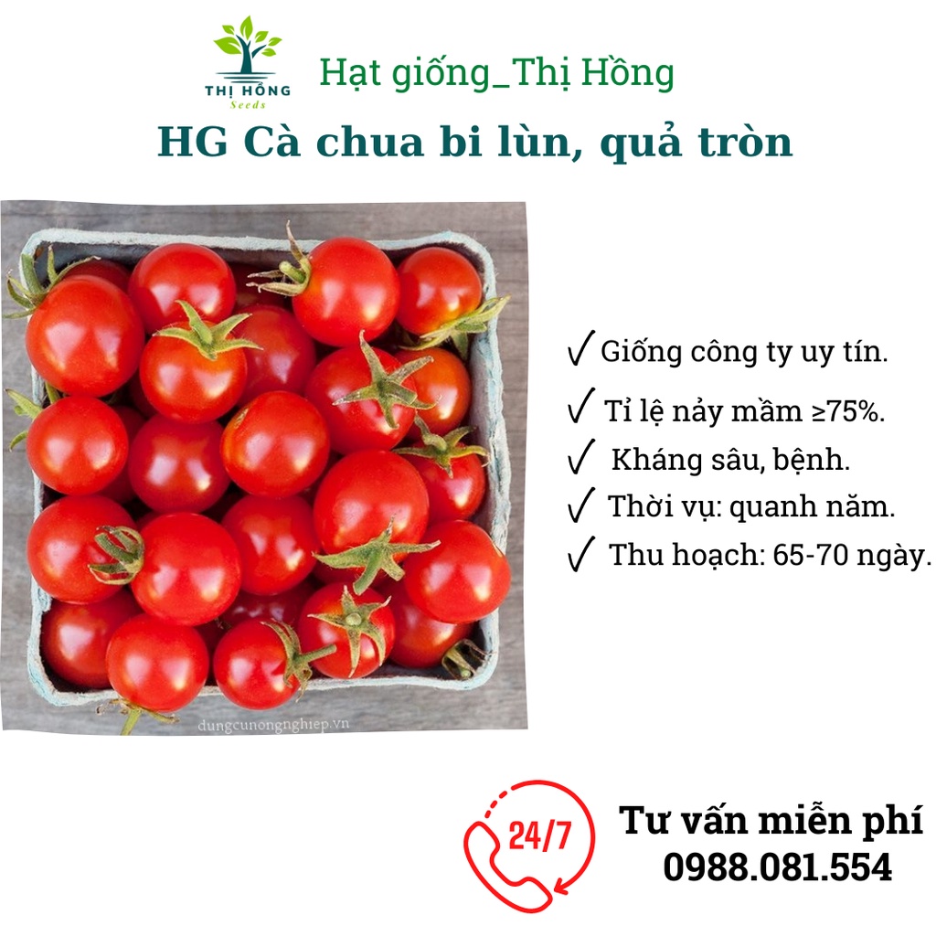Hạt giống rau ăn quả