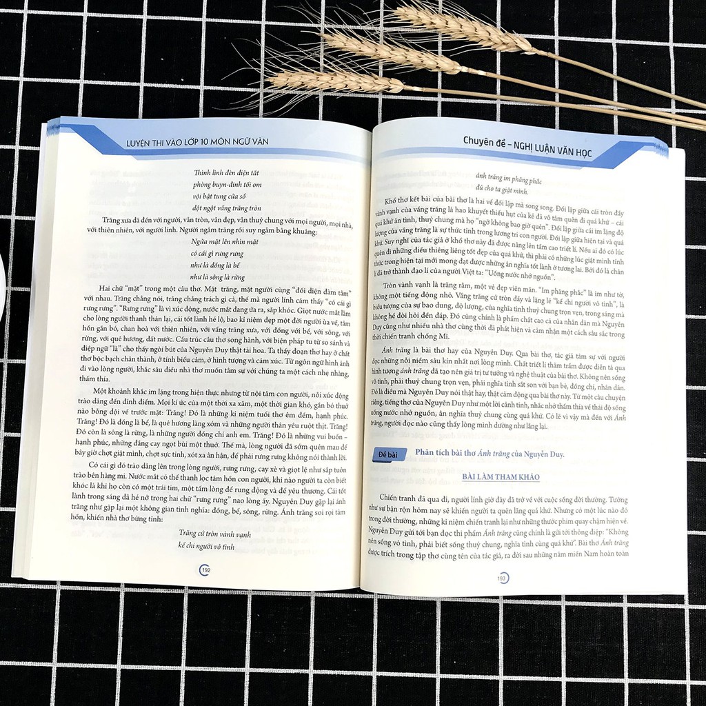 Sách - Luyện thi vào lớp 10 môn Ngữ văn - Chuyên đề nghị luận Văn Học | BigBuy360 - bigbuy360.vn