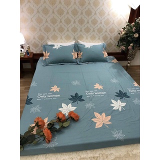 Bộ ga gối bo chun cotton