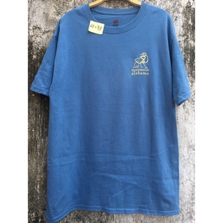 Áo phông Mĩ secondhand unisex, tay lỡ (ảnh minh họa)
