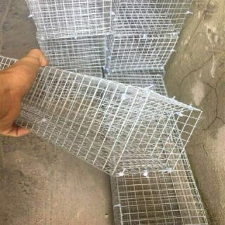 (Rẻ vô địch)Lồng bắt rắn