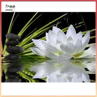 Tranh Thêu Chữ Thập Đính Đá Hình Hoa Sen Trắng 5d 40x30cm