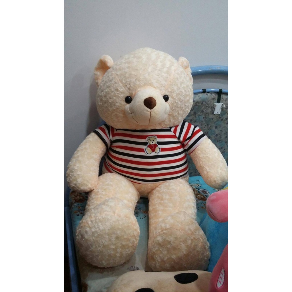 Gấu Teddy size 1m7 Mập ú, chân ngắn như hình