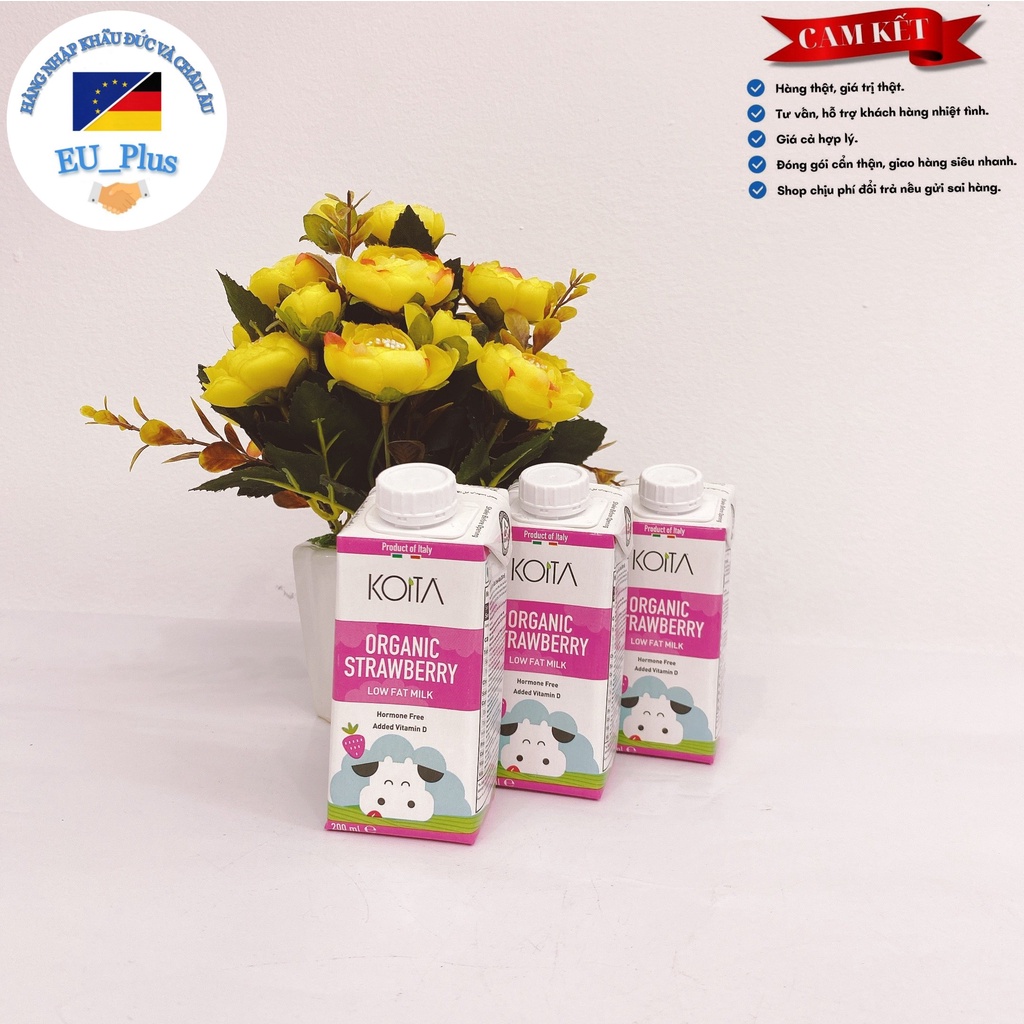 Sữa Koita 200ml Ý vị dâu, socola, nguyên kem không đường