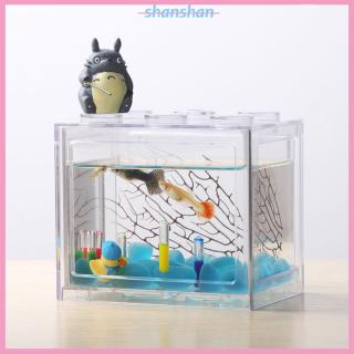 Bể cá mini trang trí hồ cá độc đáo