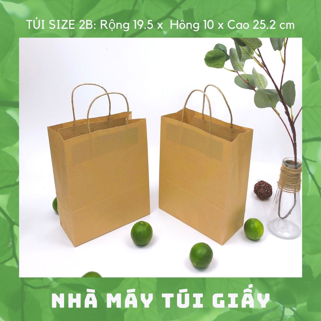 100 túi giấy nâu có quai Size 2B:19.5x10x 25.2 cm túi đựng hàng 3kg