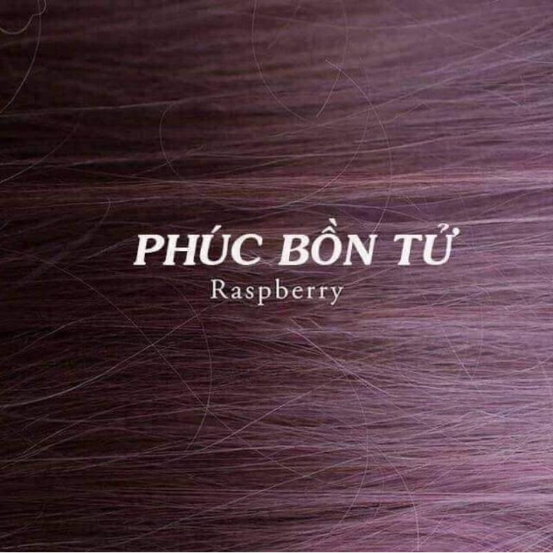 Nhuộm màu tím phúc bồn tử, tím hoa cà collagen Q7