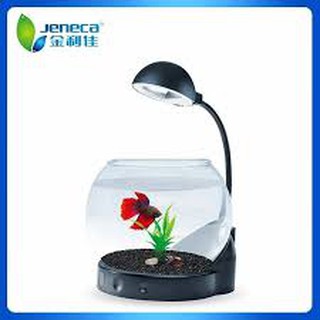 BỂ CÁ MINI TRÒN JENECA TG-01