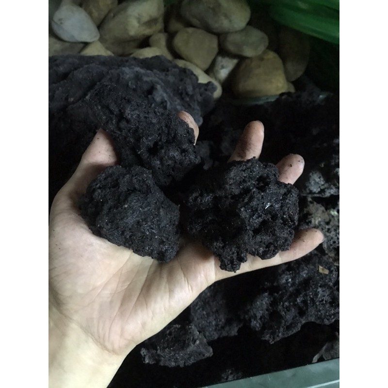 Đá Đen Gia Lai hàng tuyển setup bể thuỷ sinh