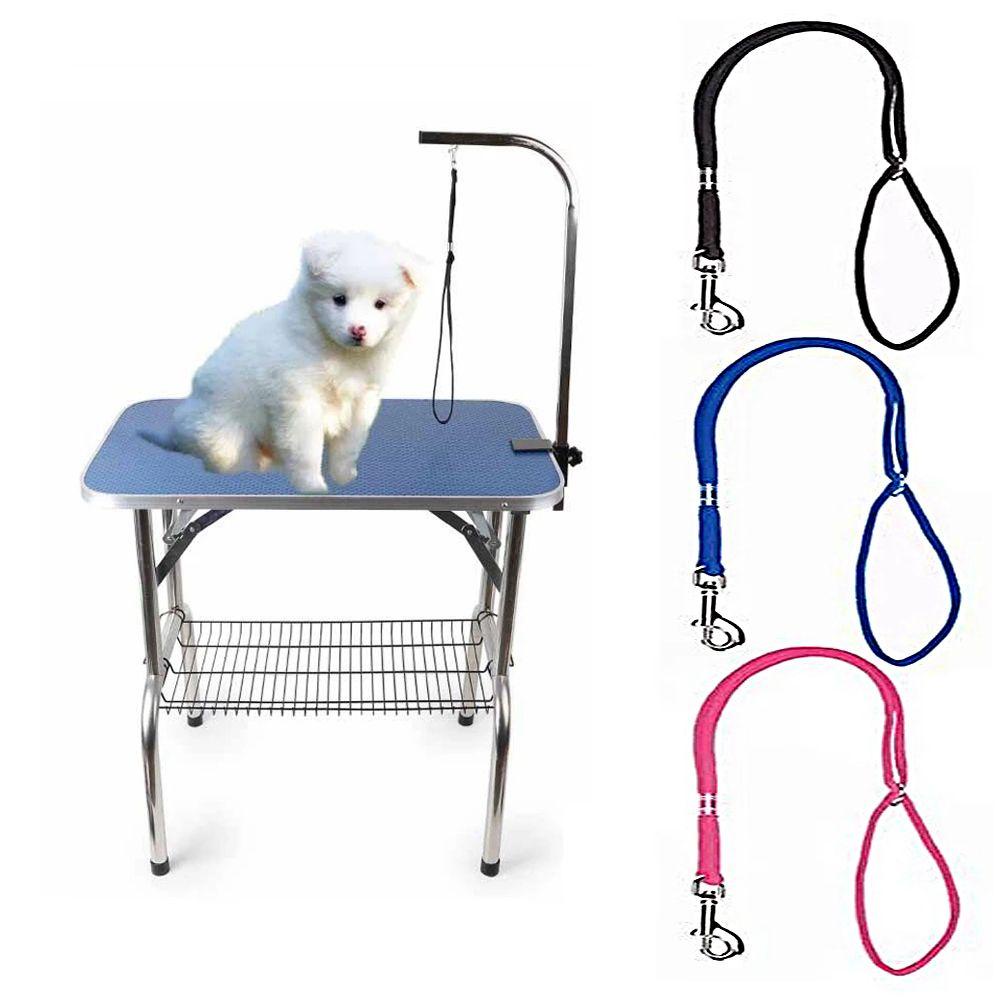 AARON1 Vòng Tay Cố Định An Toàn Cho Thú Cưng Khi Tắm