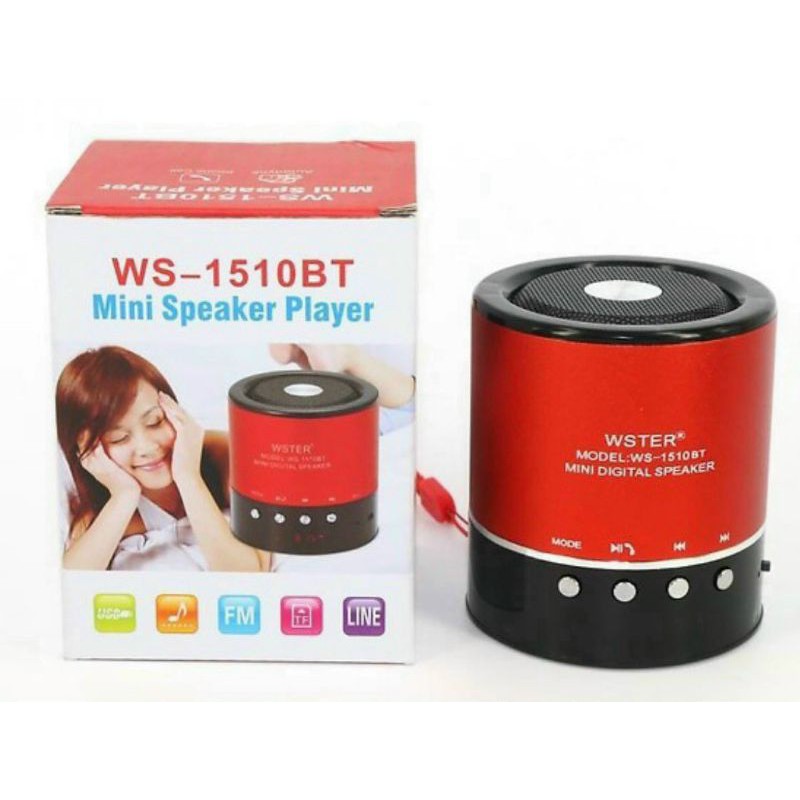Loa ws 1510 BT chính hãng.
