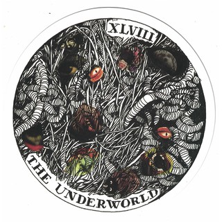 Bộ Bài Wild Unknown Archetypes Deck (Mystic House Tarot Shop) - Bài Gốc Authentic Chính Hãng 100%