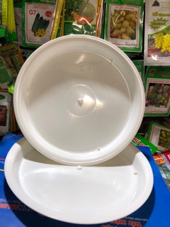 ĐĨA LÓT CHẬU CÂY CẢNH PHI 23 (2 cái)