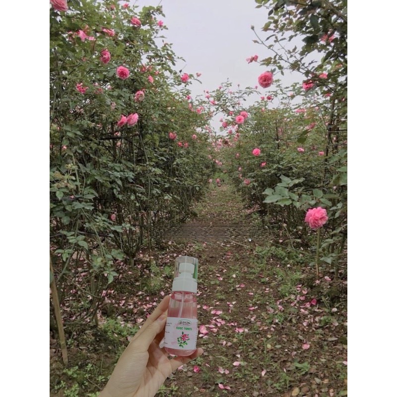 TONER HOA HỒNG - ROSE TONER (HANDMADE) | BigBuy360 - bigbuy360.vn