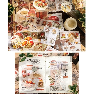BỘ GIẤY VINTAGE JOURNAL | MDC214