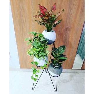 Chân sắt 3 tầng