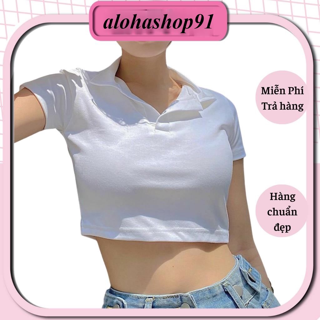 áo croptop cổ bẻ nữ BORIP LOẠI TỐT DÀY DẶN, CO GIÃN, THẤM HÚT alohashop91