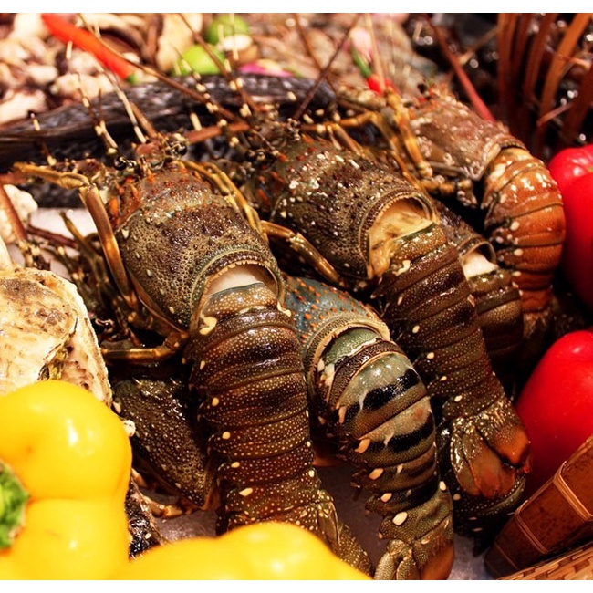 HCM  Buffet Pullman Saigon - Tôm Hùm, Hải Sản Thượng Hạng