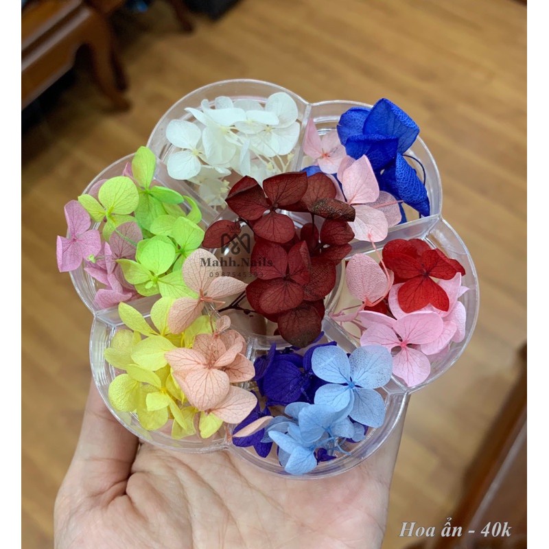 Hoa ẩn trang trí móng