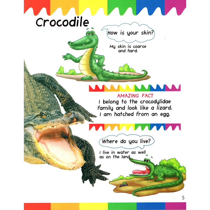 Sách My First Questions &amp; Answers - Reptiles &amp; Amphibians