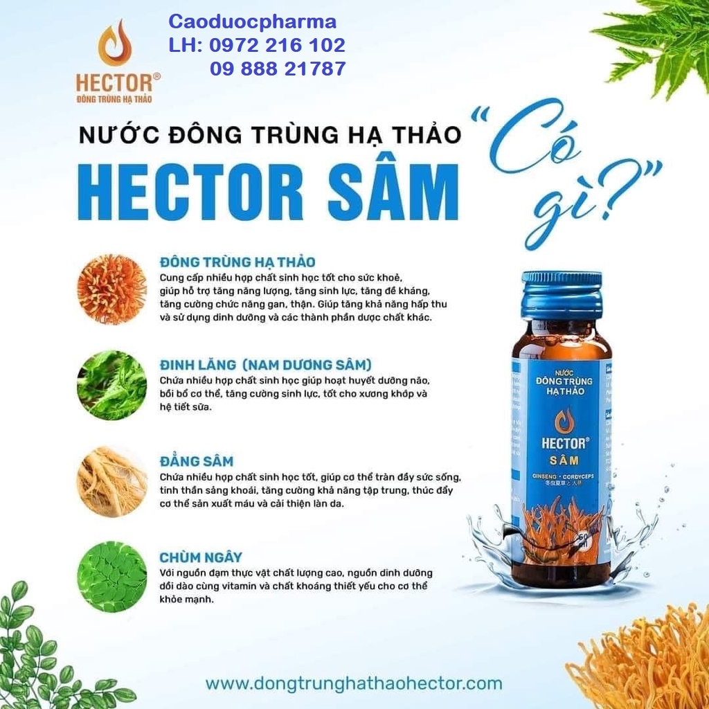 (Chính hãng) Nước Đông trùng hạ thảo Hector Sâm- Tăng cường chức năng phổi, tăng lực nhanh cải thiện sinh lý