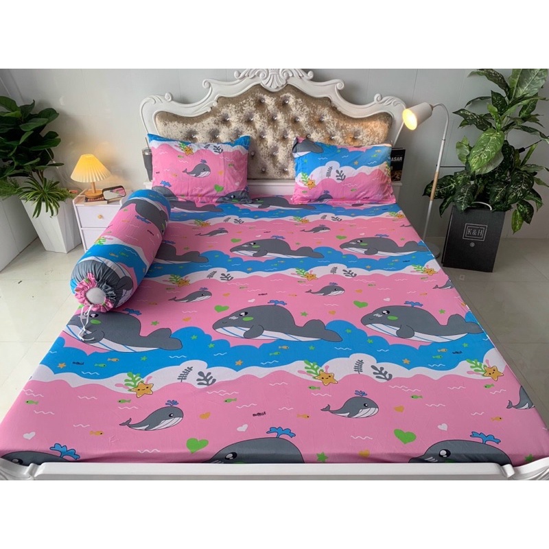 Bộ Drap thun Hàn Quốc mẫu cá voi gồm 6 màu