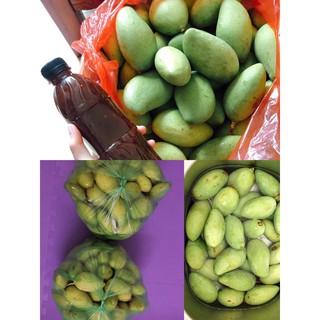 Xoài Bao Tử Và Chấm Thần Thánh