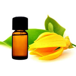 TINH DẦU NGỌC LAN TÂY - LỌ 10ml (Ylang Ylang)