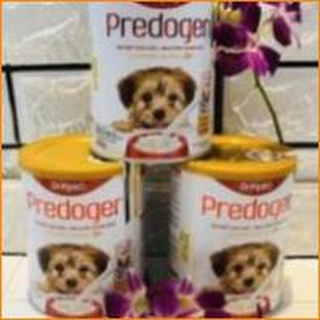 Sữa chó con và chó mẹ Dr.Kyan PREDOGEN - 400G/lon
