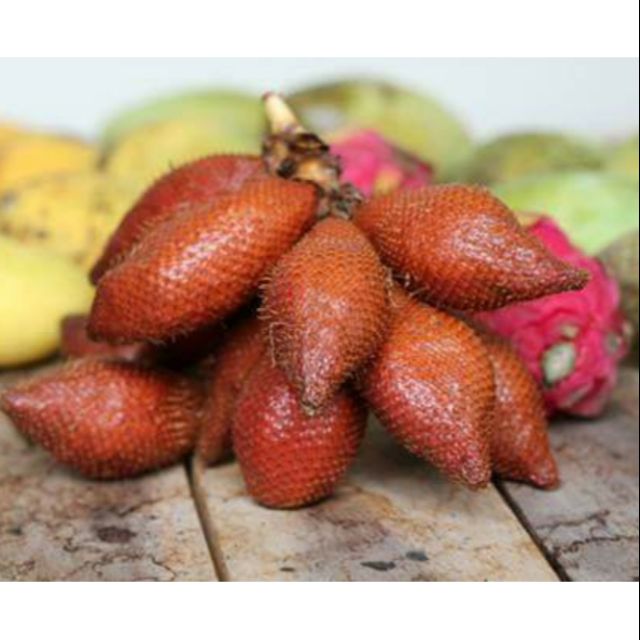 Trái mây Thái Lan 1kg | Shopee Việt Nam