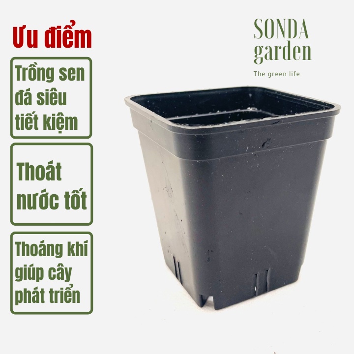 Chậu nhựa đen cạnh 7.7cm SONDA Garden, siêu đẹp, lỗi 1 đổi 1