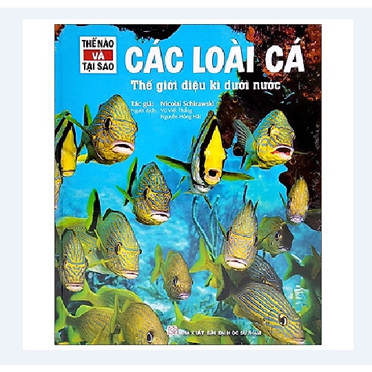 Sách - Thế Nào Và Tại Sao - Các Loài Cá - Thế Giới Diệu Kì Dưới Nước fs