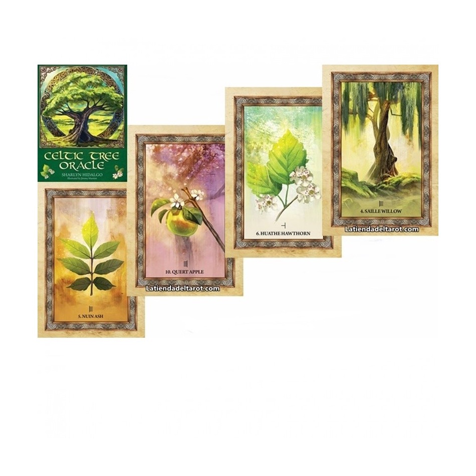 Bộ bài Celtic Tree Oracle C2