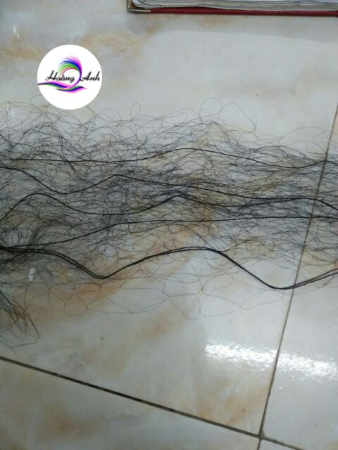 Lưới Bẫy Chim Cỡ Lớn Cao 5,5M