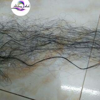 Lưới TÀNG HÌNH Cò Cao 6m