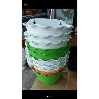 10 cái chậu ốp tường trắng đẹp