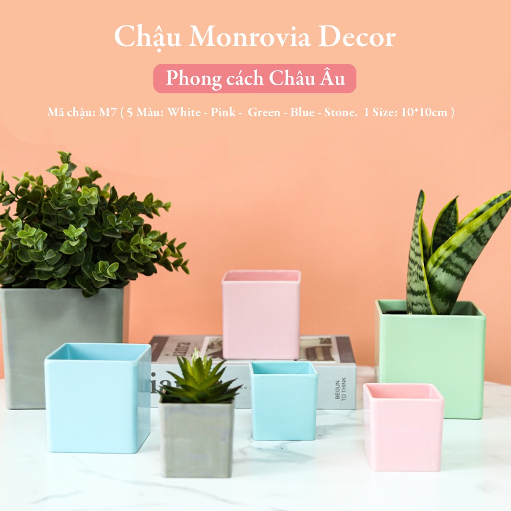 Chậu trồng cây mini MONROVIA cho sen đá, cây cảnh, hoa nhí, xương rồng, bonsai để bàn, ban công