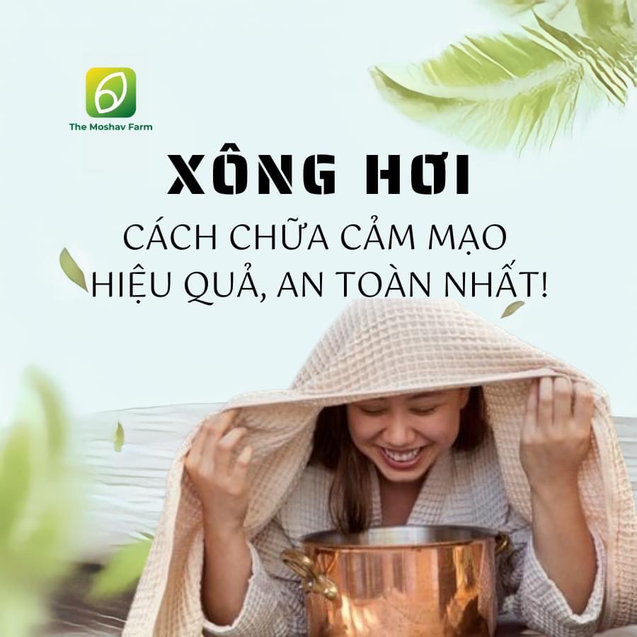 Lá xông thảo mộc giải cảm tăng sức đề kháng công nghệ sấy lạnh The Moshav Farm LX001