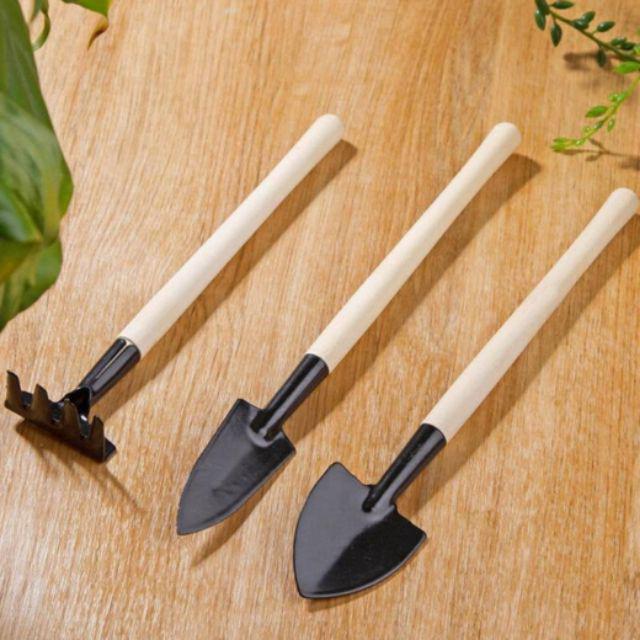 Bộ 3 dụng cụ chăm sóc cây cảnh mini