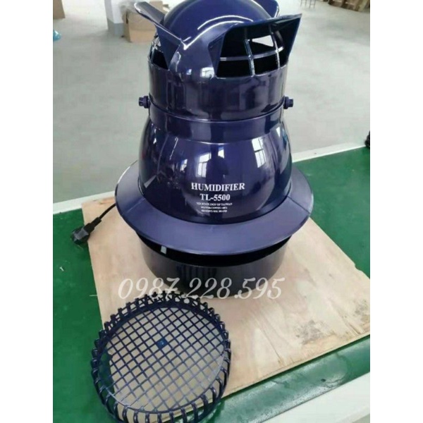 cho nhà lan nấm yến