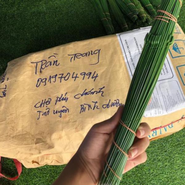 Kẽm Cành Bó 100 Cành Dài 30Cm